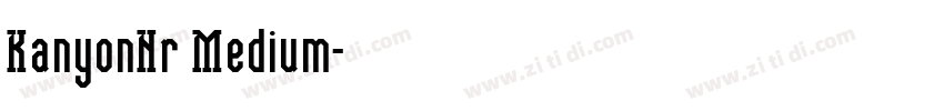 KanyonNr Medium字体转换